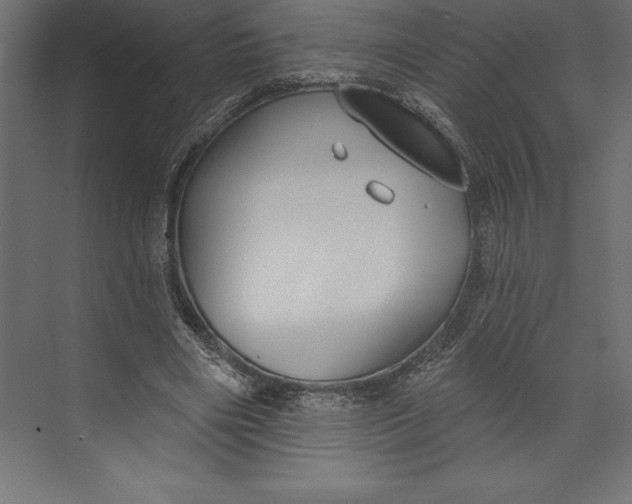 X0000073400490200608181033