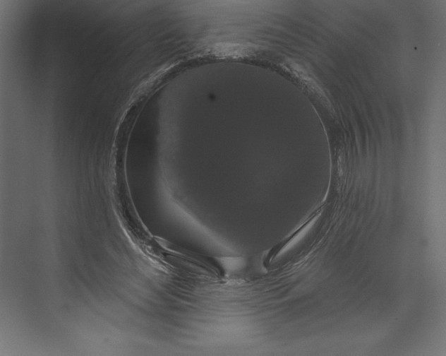 X0000073400492200608181033