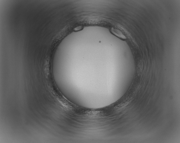 X0000073400497200608181033