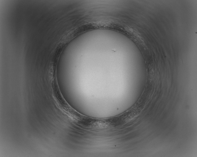 X0000073400498200608181033
