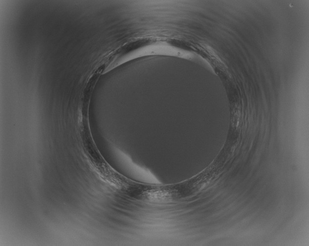 X0000073400500200608181033