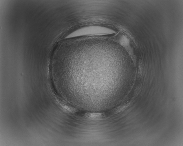 X0000073400501200608181033