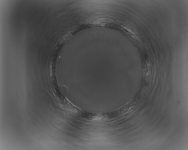 X0000073400504200608181033