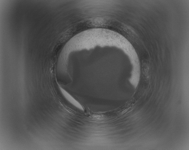 X0000073400507200608181033