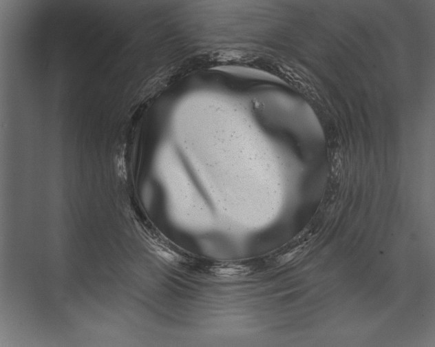 X0000073400510200608181033