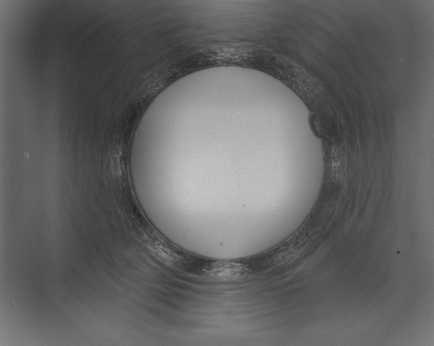 X0000073400514200608181033
