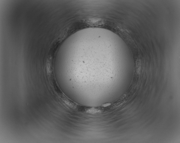 X0000073400515200608181033