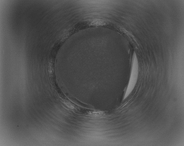 X0000073400517200608181033