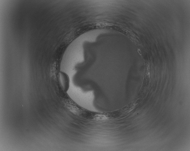 X0000073400519200608181033
