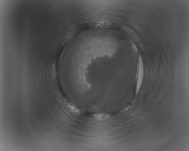 X0000073400520200608181033