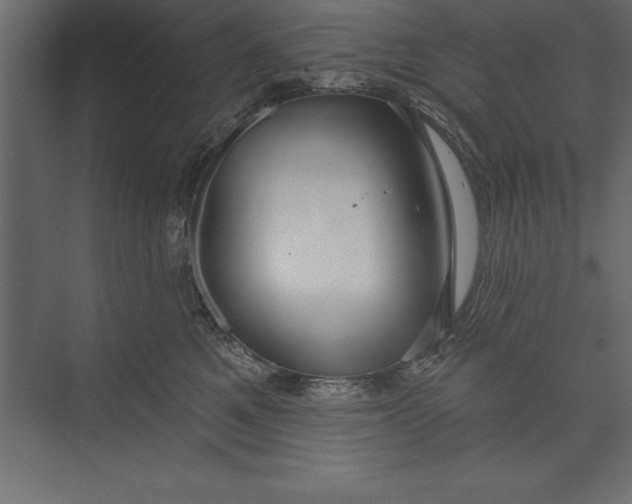 X0000073400521200608181033