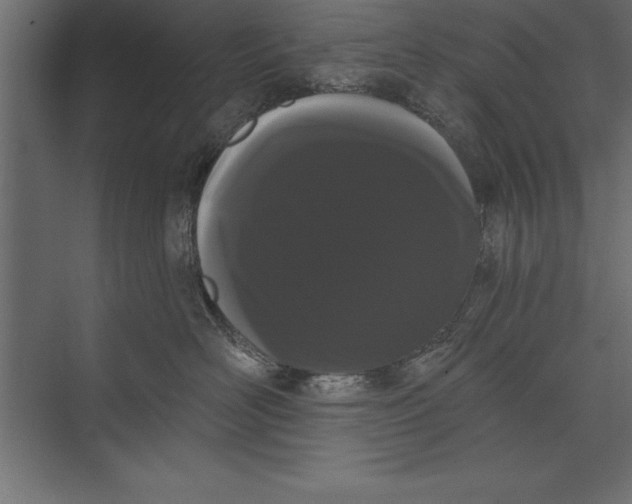 X0000073400526200608181032