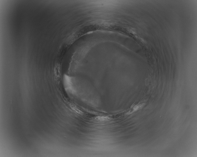 X0000073400528200608181032