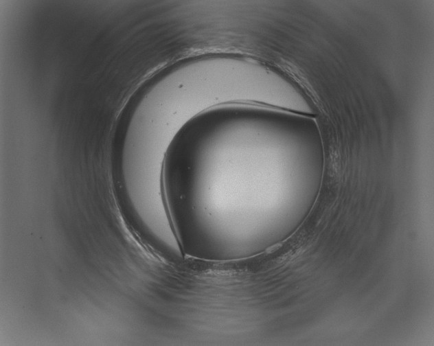 X0000073400534200608181032
