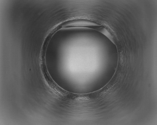 X0000073400536200608181032