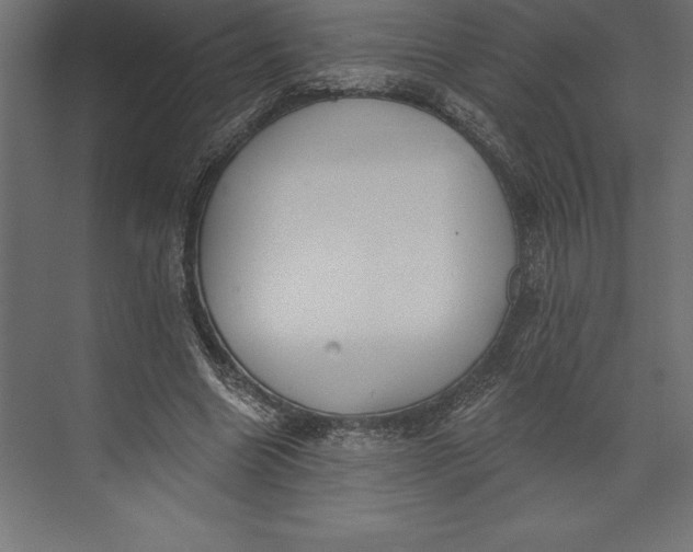 X0000073400538200608181032