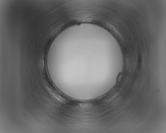 X0000073400541200608181032