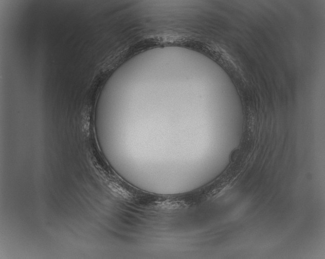 X0000073400545200608181032