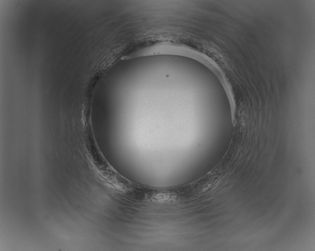 X0000073400546200608181032