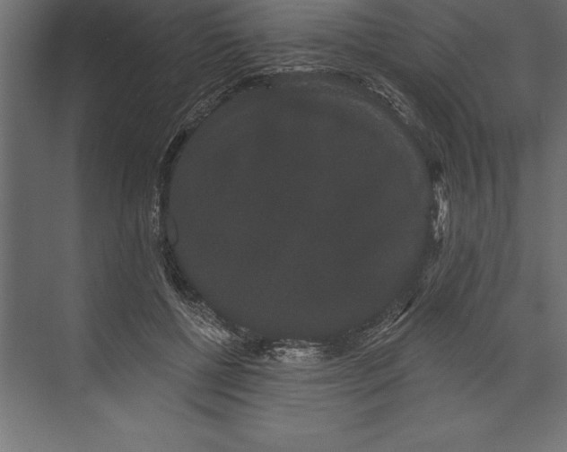 X0000073400552200608181032
