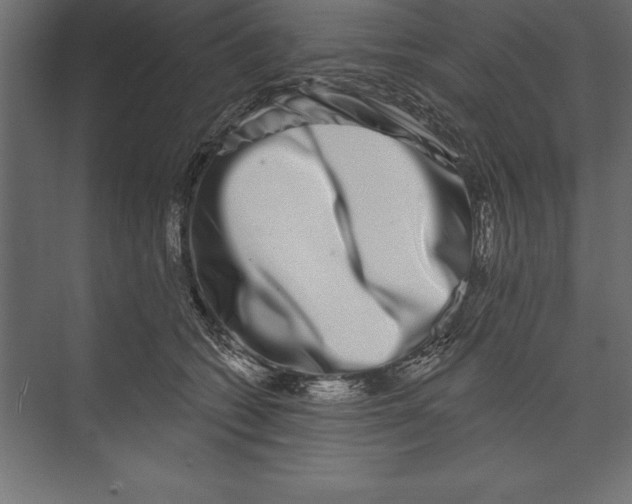 X0000073400562200608181032