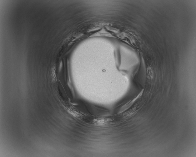 X0000073400564200608181032