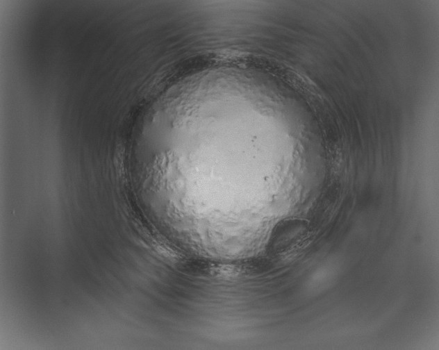 X0000073400565200608181032