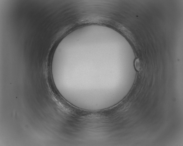 X0000073400578200608181032
