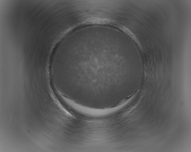 X0000073400581200608181032