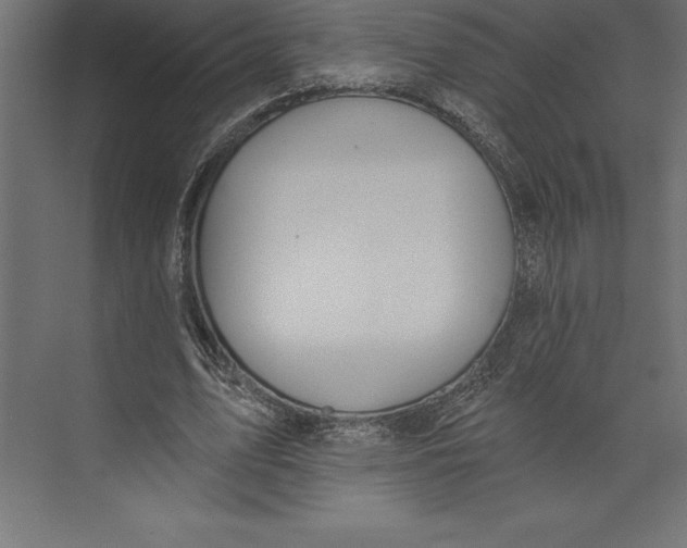X0000073400583200608181031