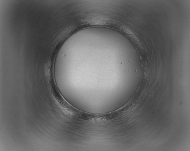 X0000073400586200608181031