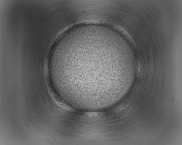 X0000073400588200608181031