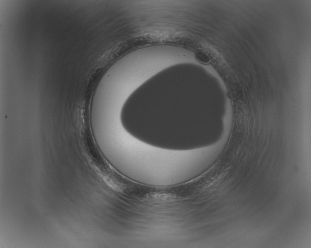 X0000073400590200608181031