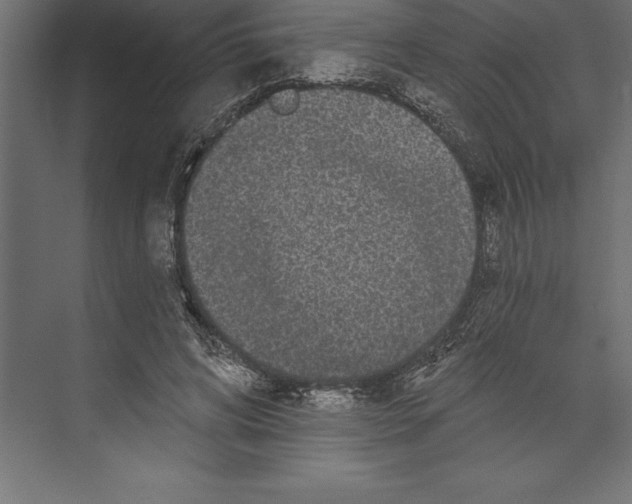 X0000073400592200608181031