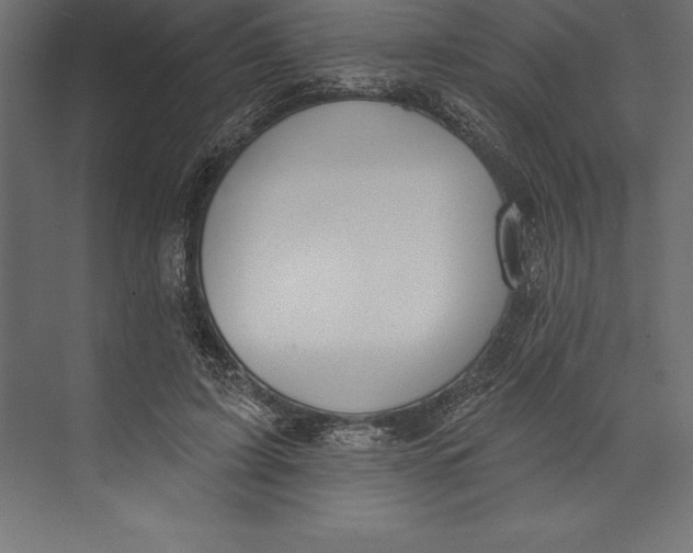 X0000073400595200608181031