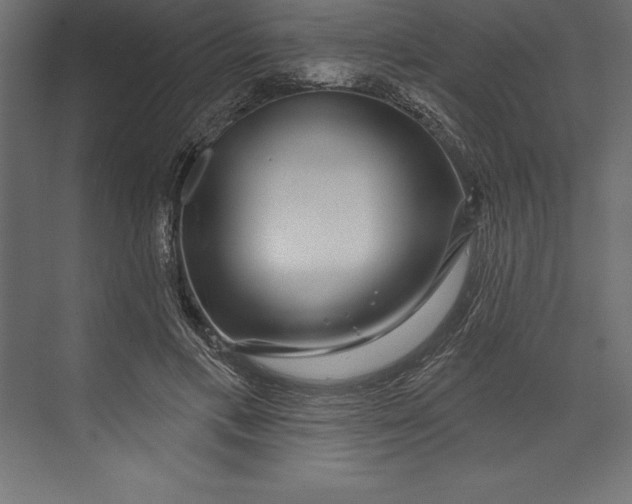 X0000073400597200608181031