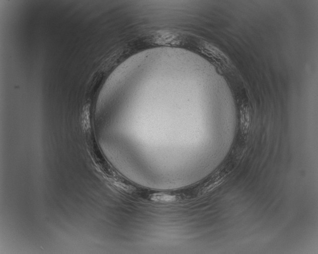 X0000073400602200608181031
