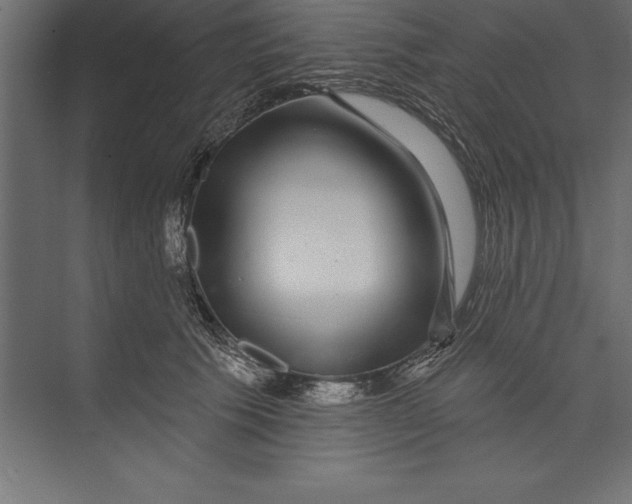 X0000073400609200608181031