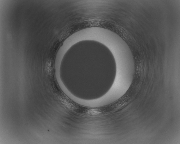 X0000073400610200608181031