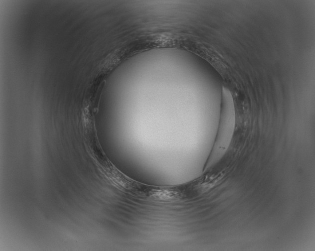 X0000073400611200608181031