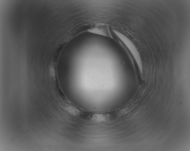 X0000073400613200608181031