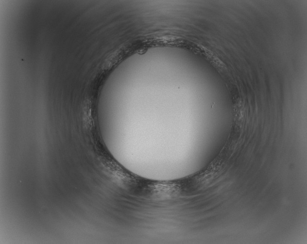 X0000073400615200608181031