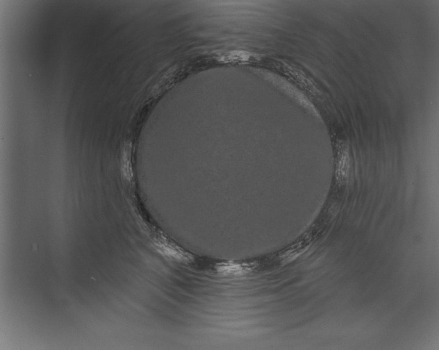X0000073400616200608181031