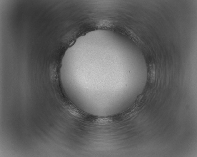 X0000073400619200608181031