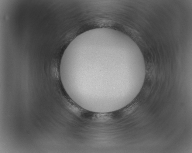 X0000073400622200608181031