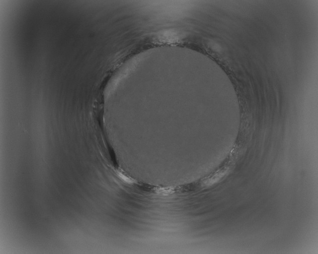 X0000073400624200608181031