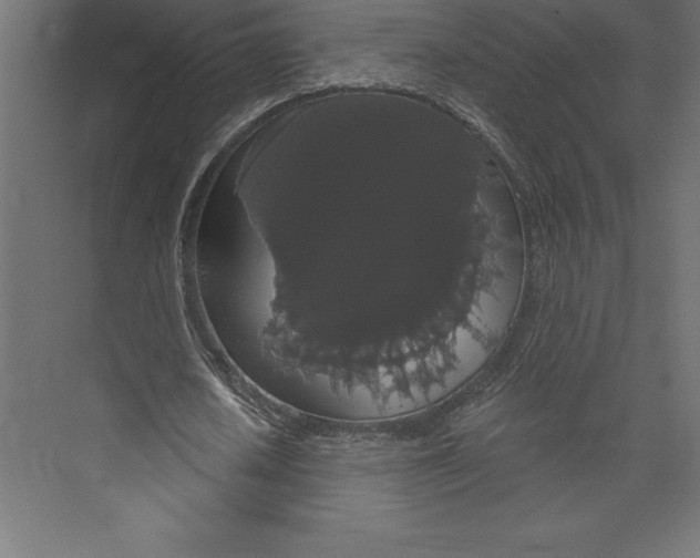 X0000073400626200608181030