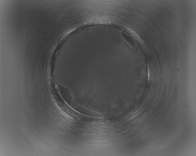 X0000073400627200608181030
