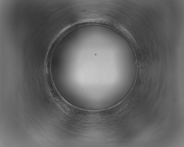 X0000073400628200608181030