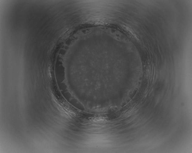 X0000073400643200608181030